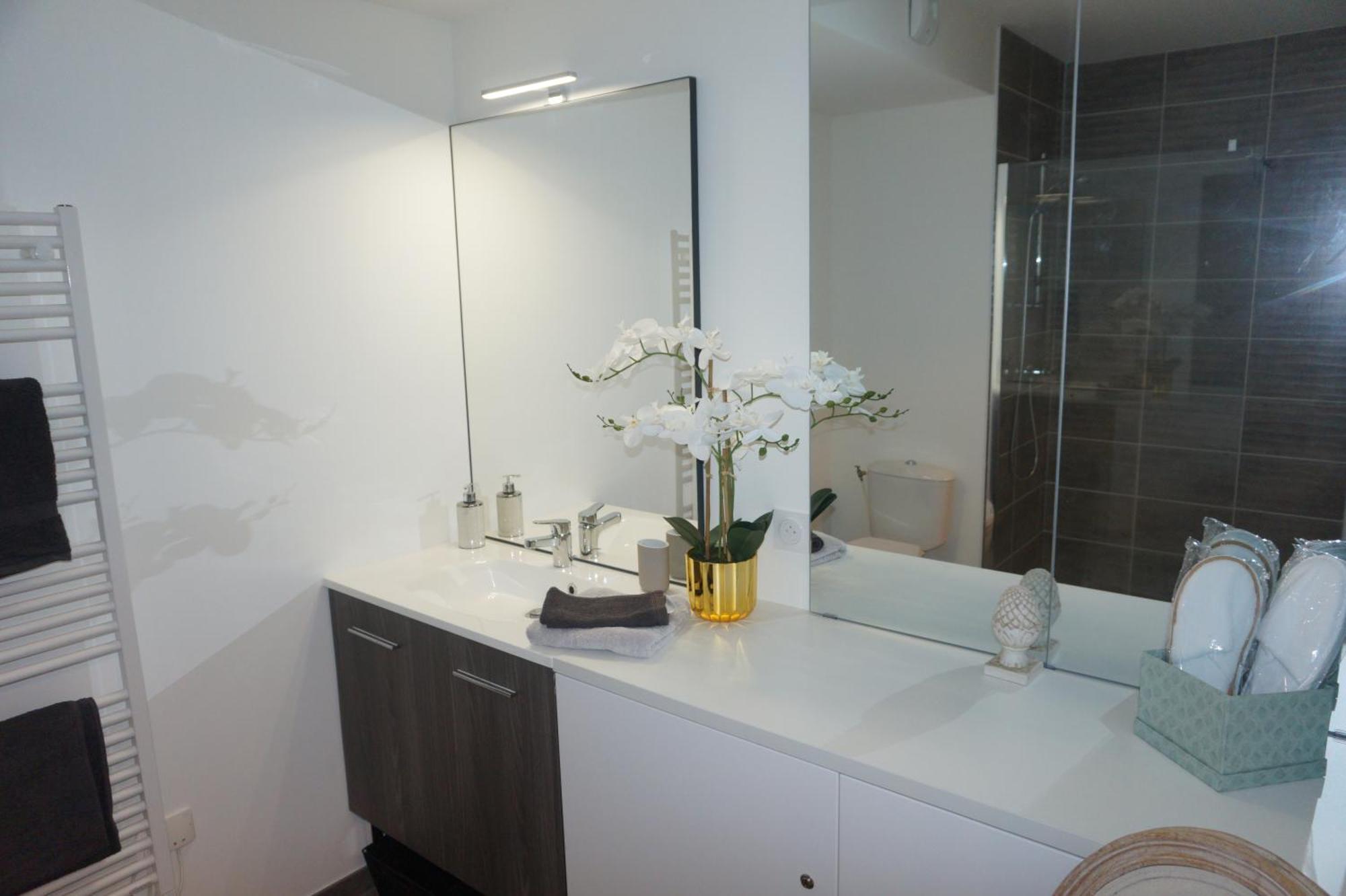 L'Ecrin Vert Chambery Coeur De Ville Екстер'єр фото
