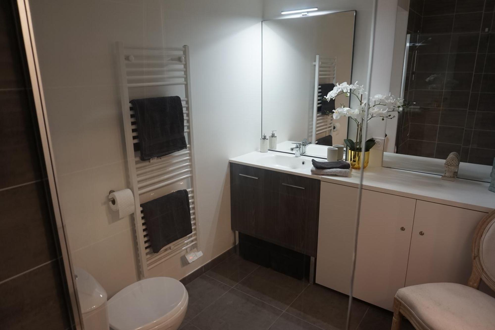 L'Ecrin Vert Chambery Coeur De Ville Екстер'єр фото